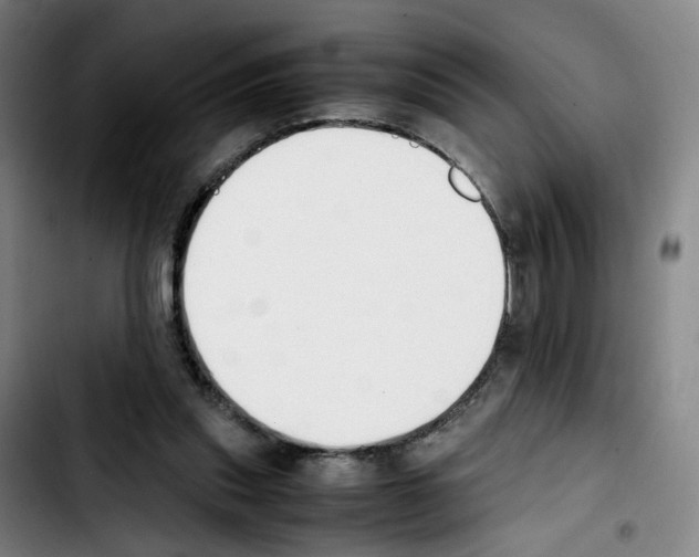 X0000103450253200810241152