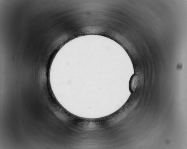 X0000103450254200810241152