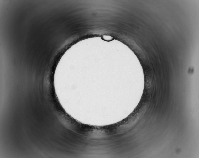 X0000103450256200810241152