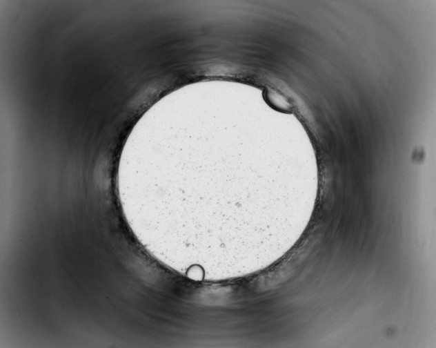 X0000103450257200810241152