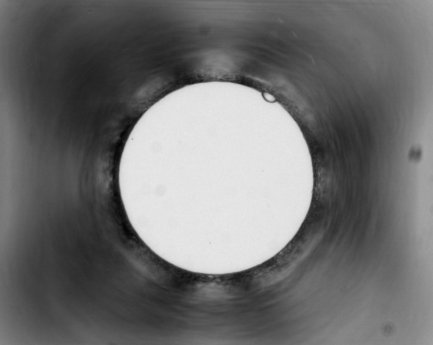 X0000103450259200810241152