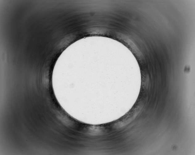 X0000103450261200810241152