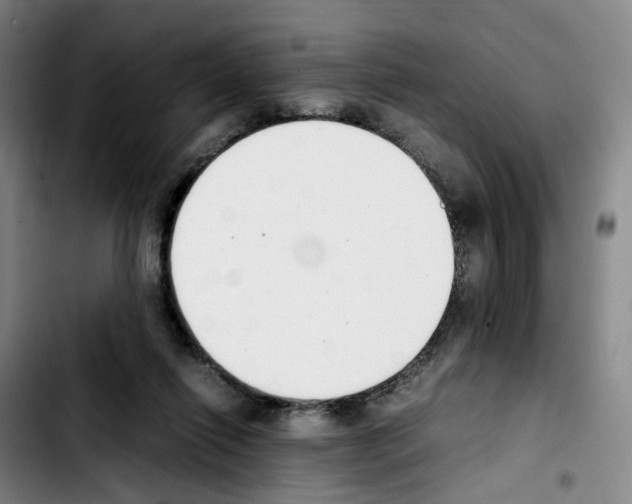 X0000103450262200810241152