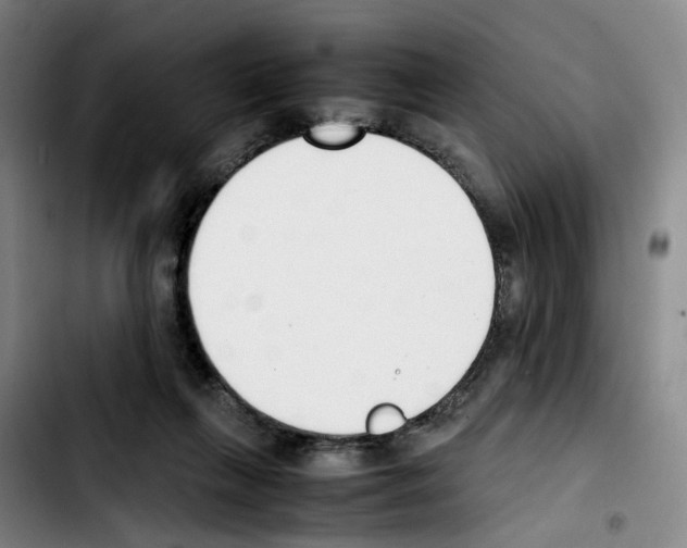 X0000103450263200810241152