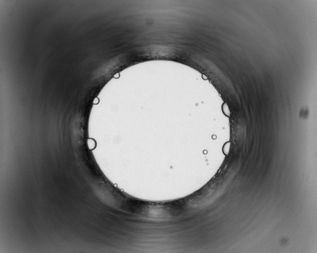 X0000103450264200810241152