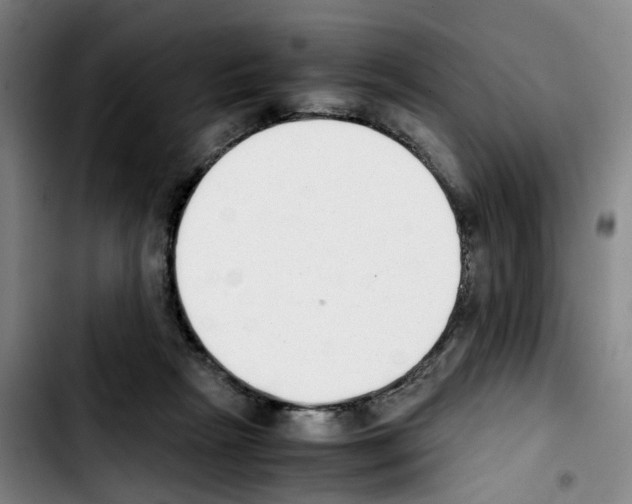 X0000103450265200810241152