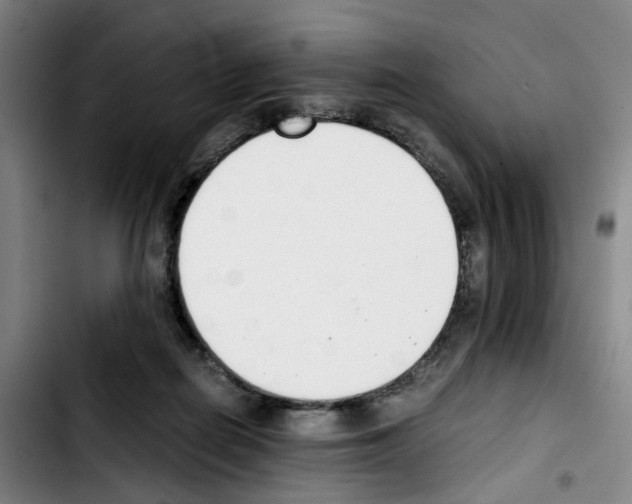 X0000103450266200810241152