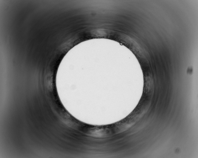 X0000103450267200810241152