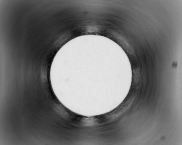 X0000103450269200810241152