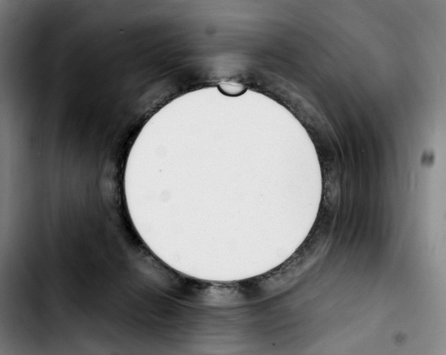 X0000103450270200810241152