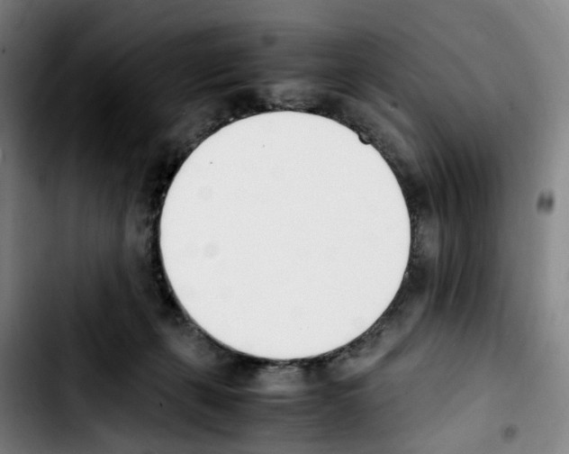 X0000103450271200810241152