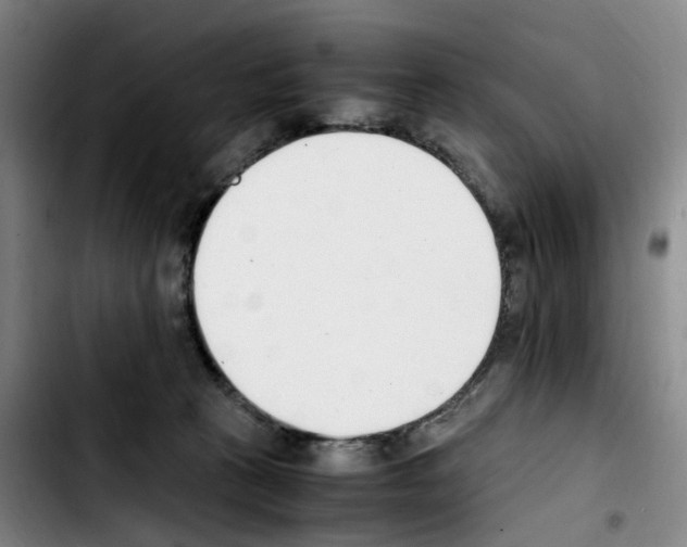 X0000103450273200810241152