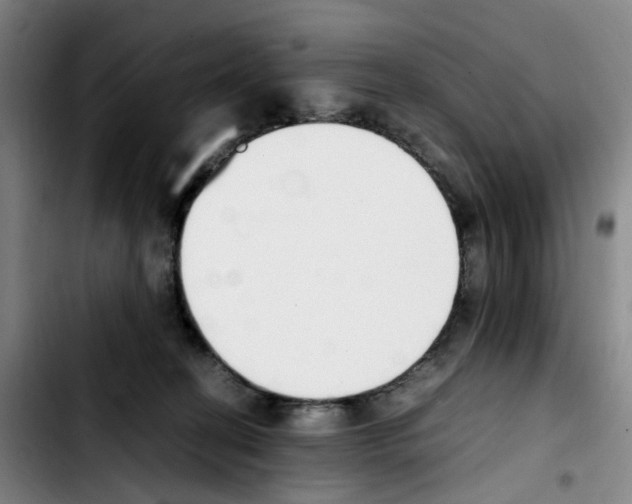 X0000103450274200810241152