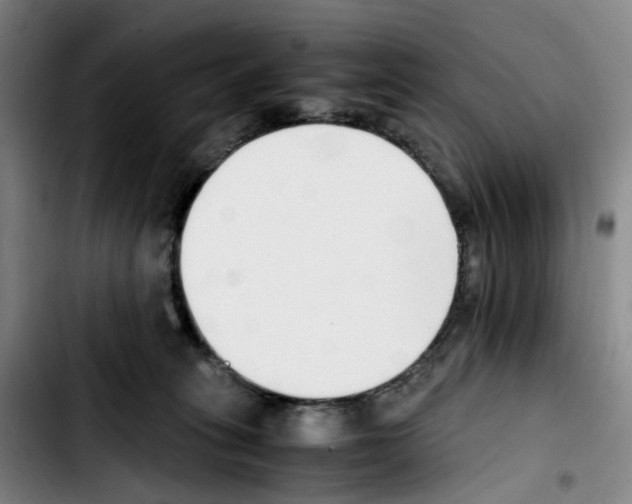 X0000103450275200810241152