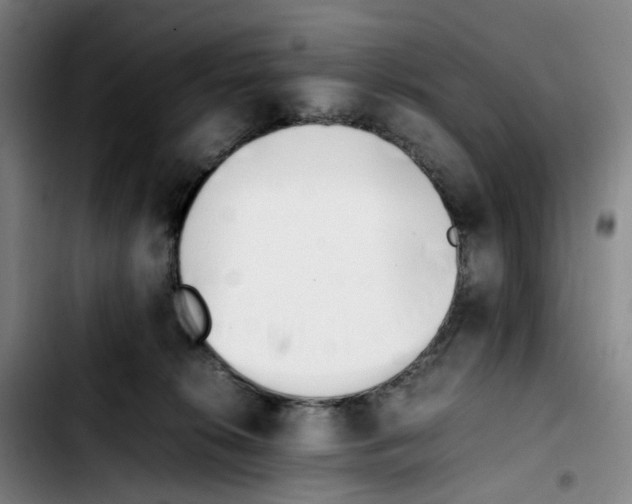 X0000103450276200810241152