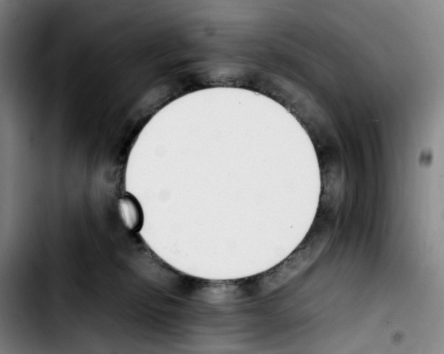 X0000103450278200810241152