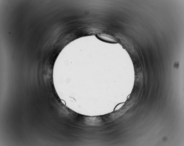 X0000103450281200810241152