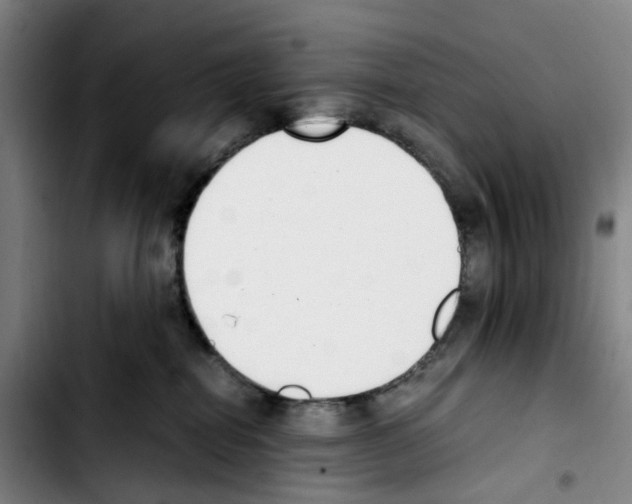 X0000103450282200810241152