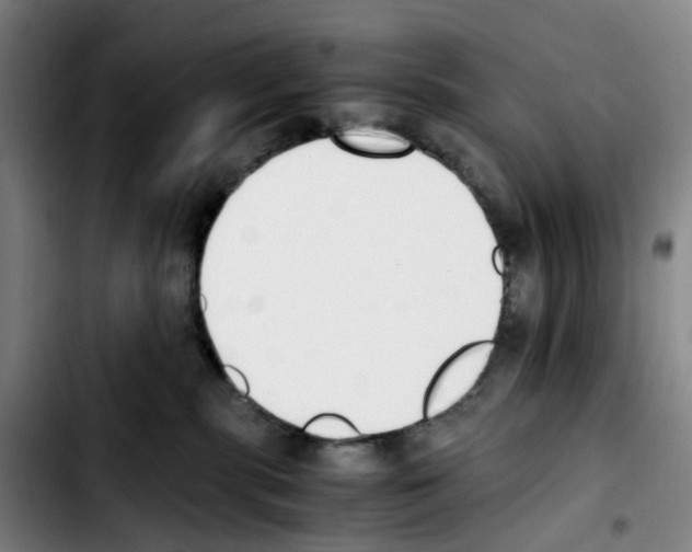 X0000103450283200810241152