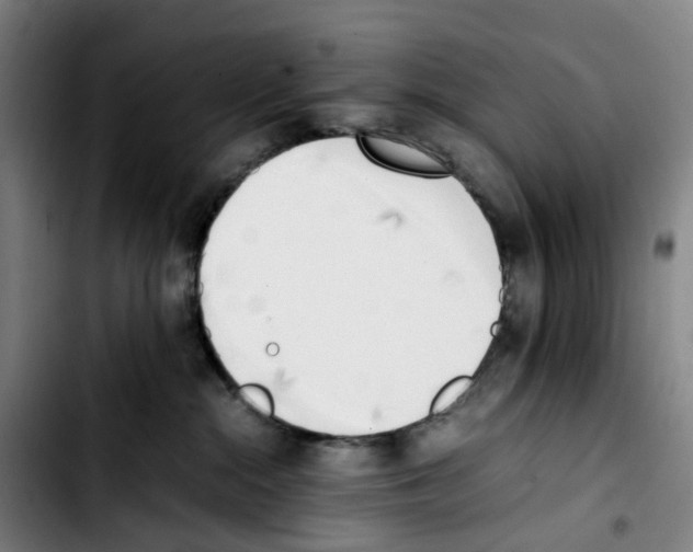 X0000103450284200810241152