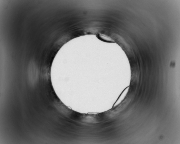 X0000103450285200810241152