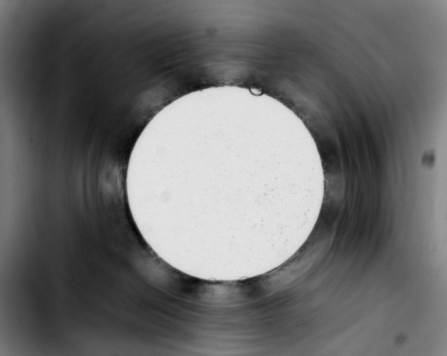 X0000103450286200810241152