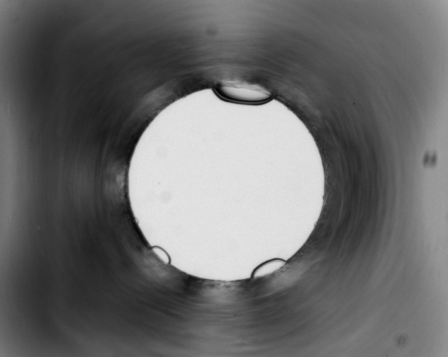 X0000103450288200810241152