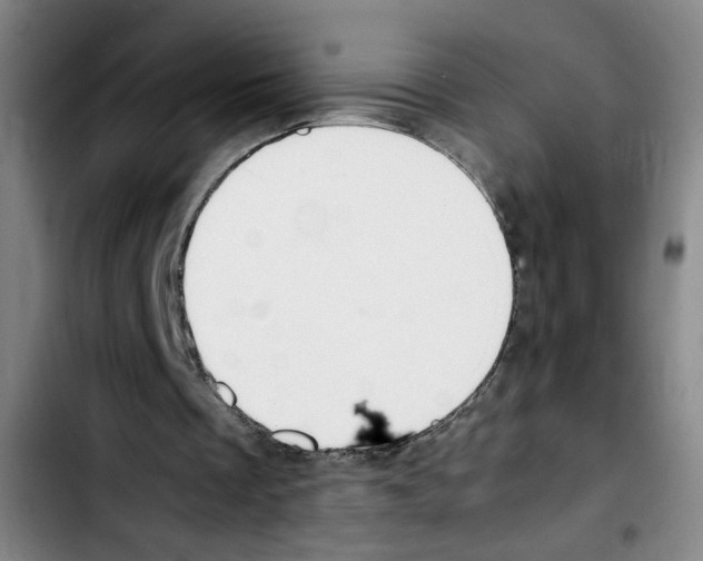 X0000103450289200810241151