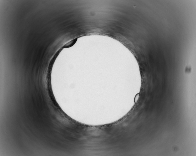 X0000103450290200810241151