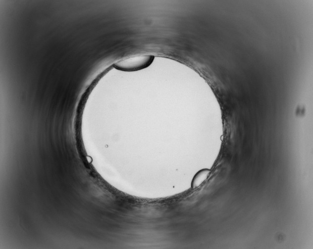 X0000103450292200810241151