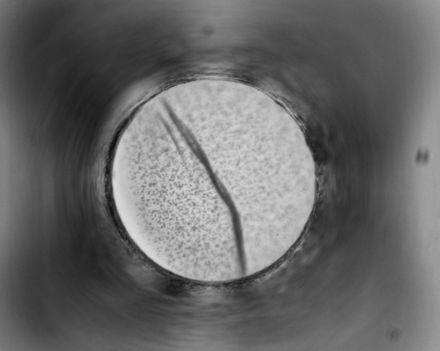 X0000103450293200810241151