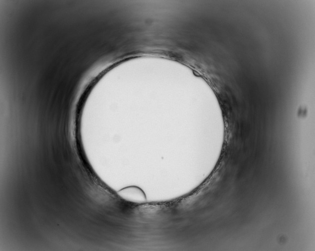 X0000103450294200810241151