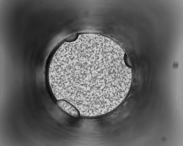 X0000103450296200810241151