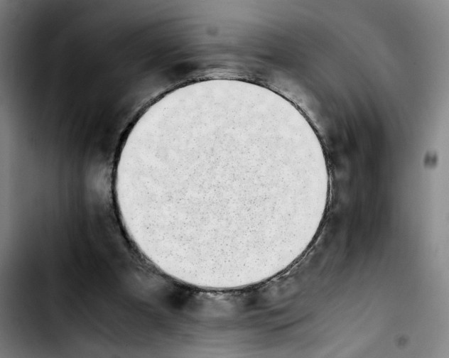 X0000103450297200810241151