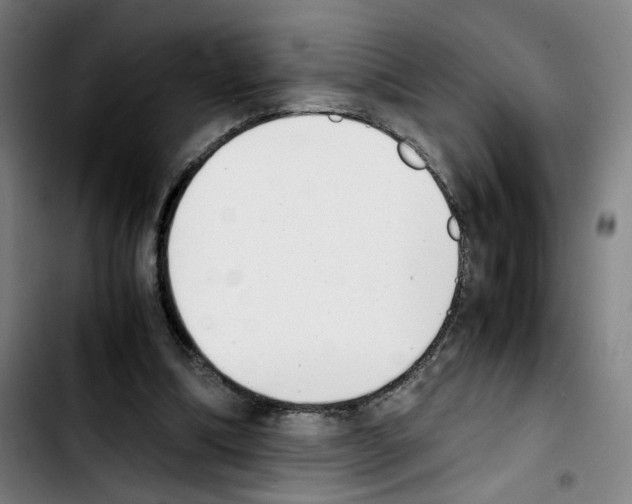 X0000103450298200810241151