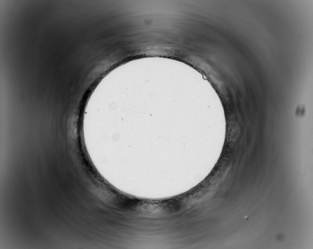 X0000103450299200810241151