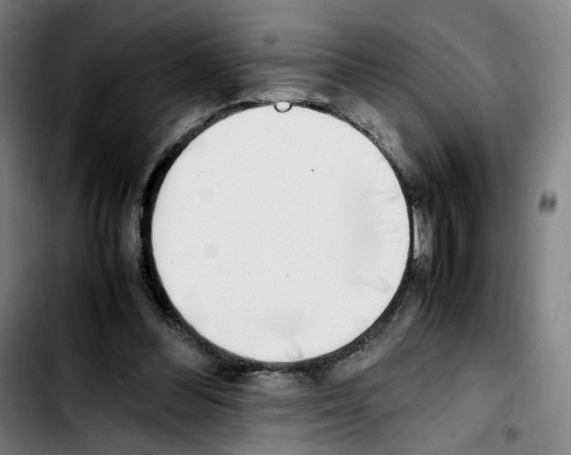 X0000103450300200810241151