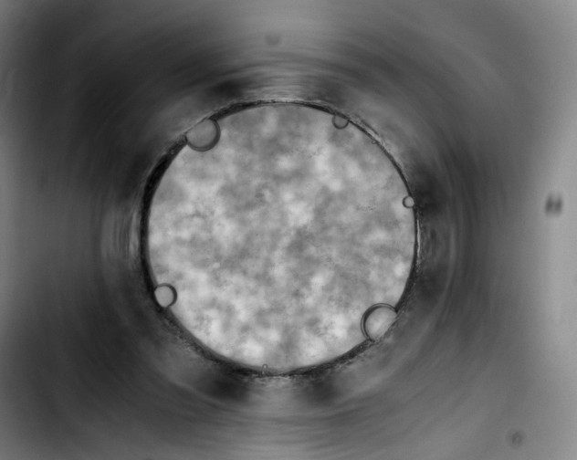 X0000103450301200810241151