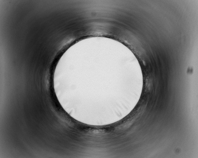 X0000103450304200810241151