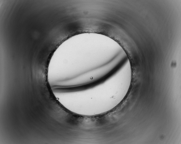 X0000103450305200810241151