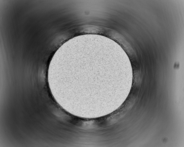 X0000103450309200810241151