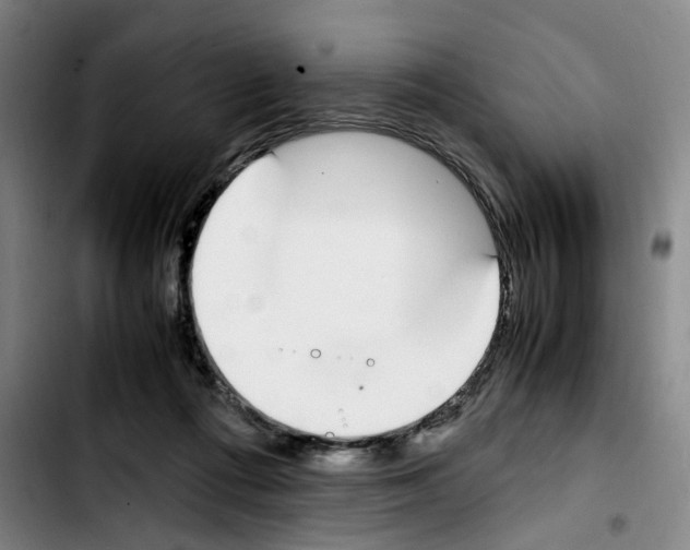 X0000103450312200810241151