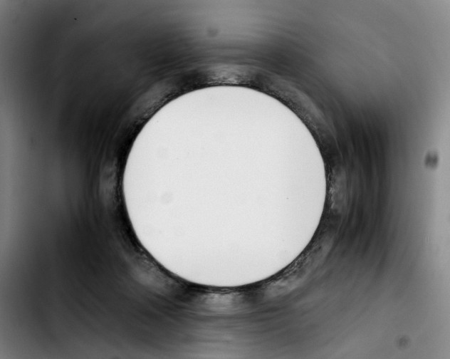 X0000103450314200810241151