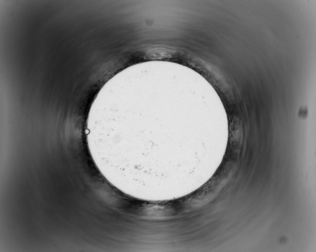 X0000103450315200810241151