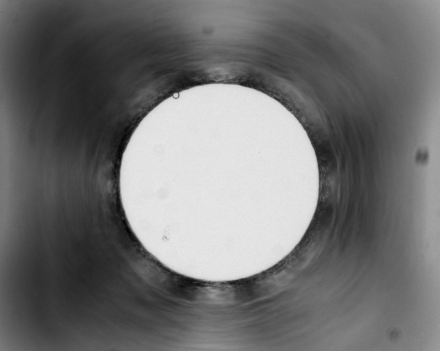 X0000103450317200810241151