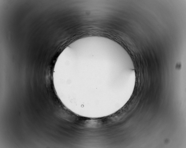 X0000103450320200810241151