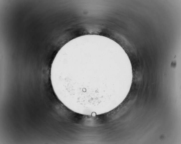 X0000103450321200810241151