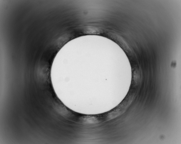 X0000103450322200810241151