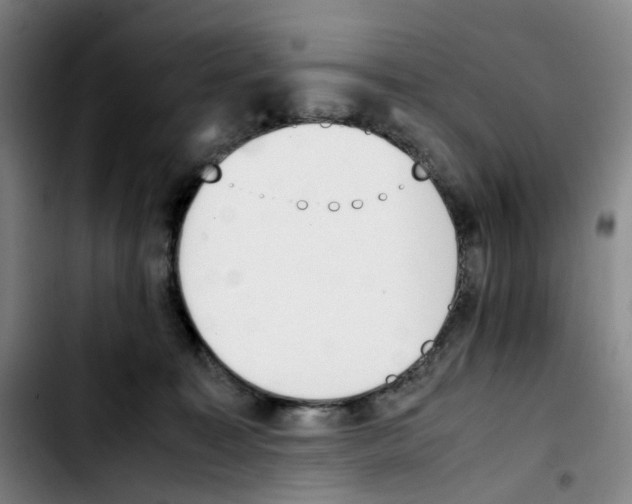 X0000103450323200810241151