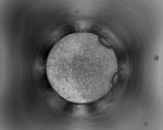 X0000103450324200810241151